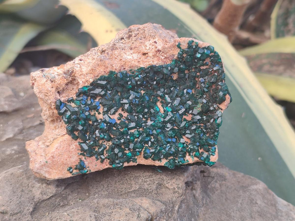 Natural Dioptase on Dolomite Specimens x 2 From Likasi, Congo - Toprock Gemstones and Minerals 