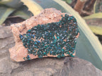 Natural Dioptase on Dolomite Specimens x 2 From Likasi, Congo - Toprock Gemstones and Minerals 