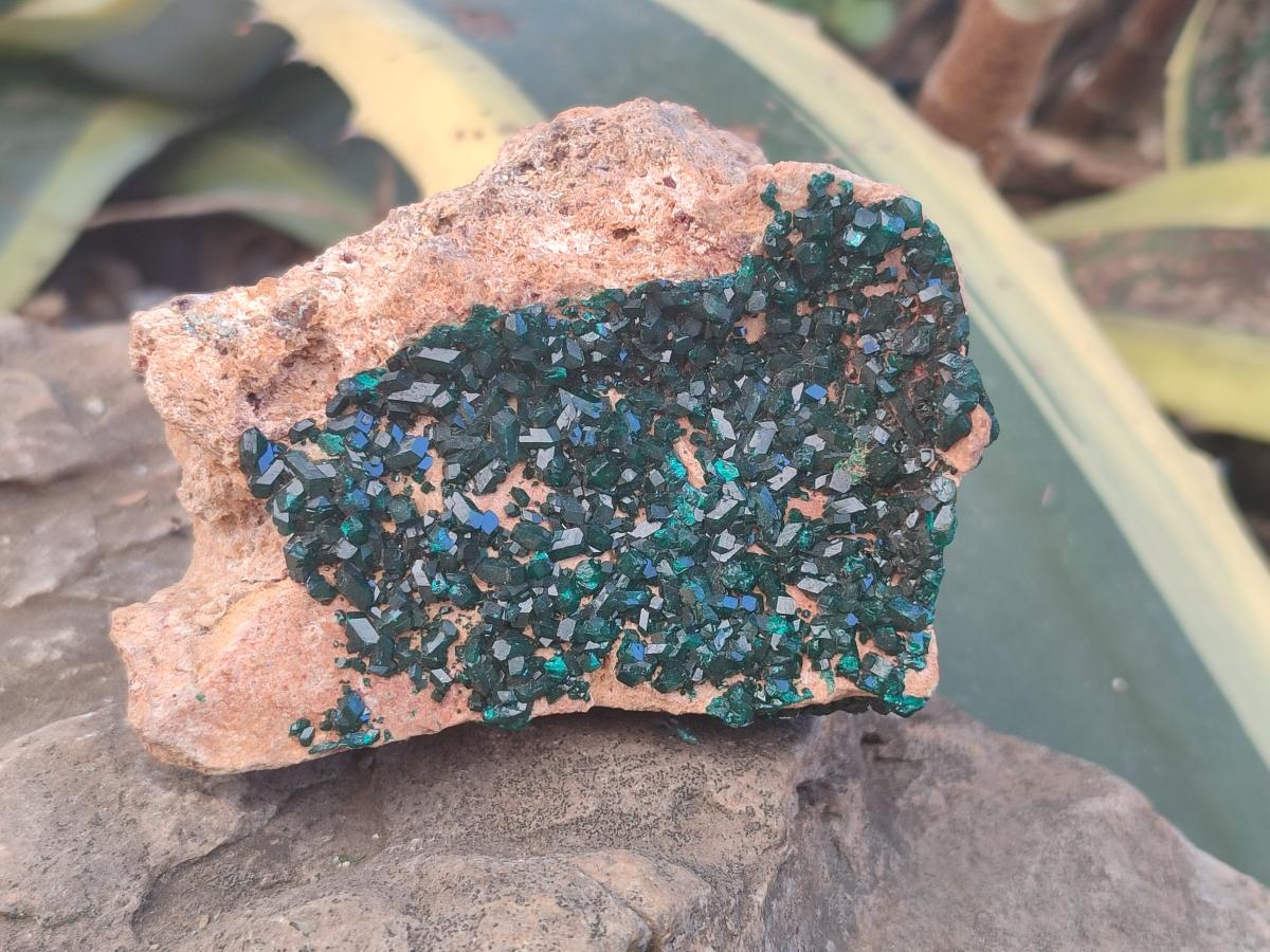 Natural Dioptase on Dolomite Specimens x 2 From Likasi, Congo - Toprock Gemstones and Minerals 