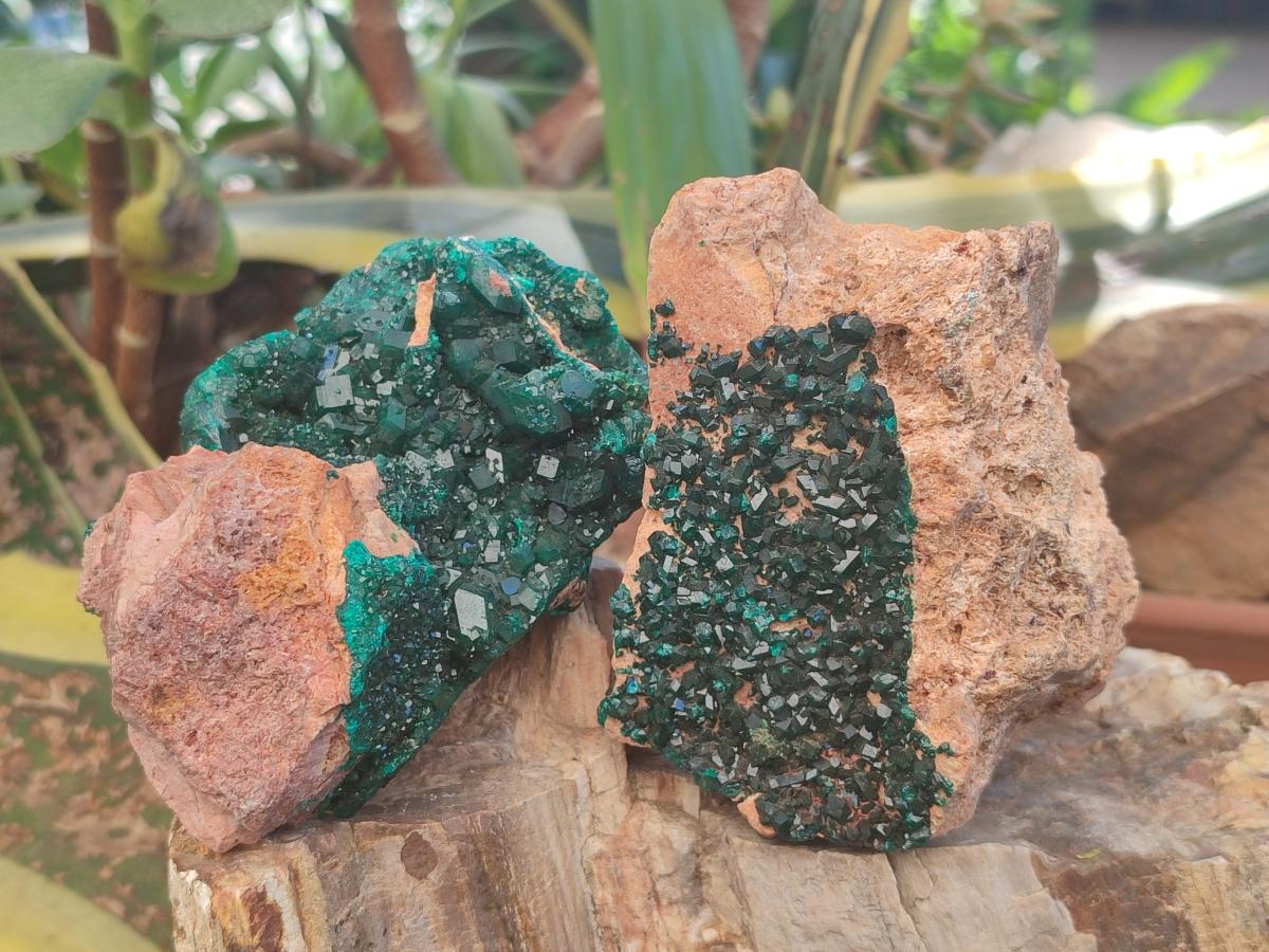 Natural Dioptase on Dolomite Specimens x 2 From Likasi, Congo - Toprock Gemstones and Minerals 