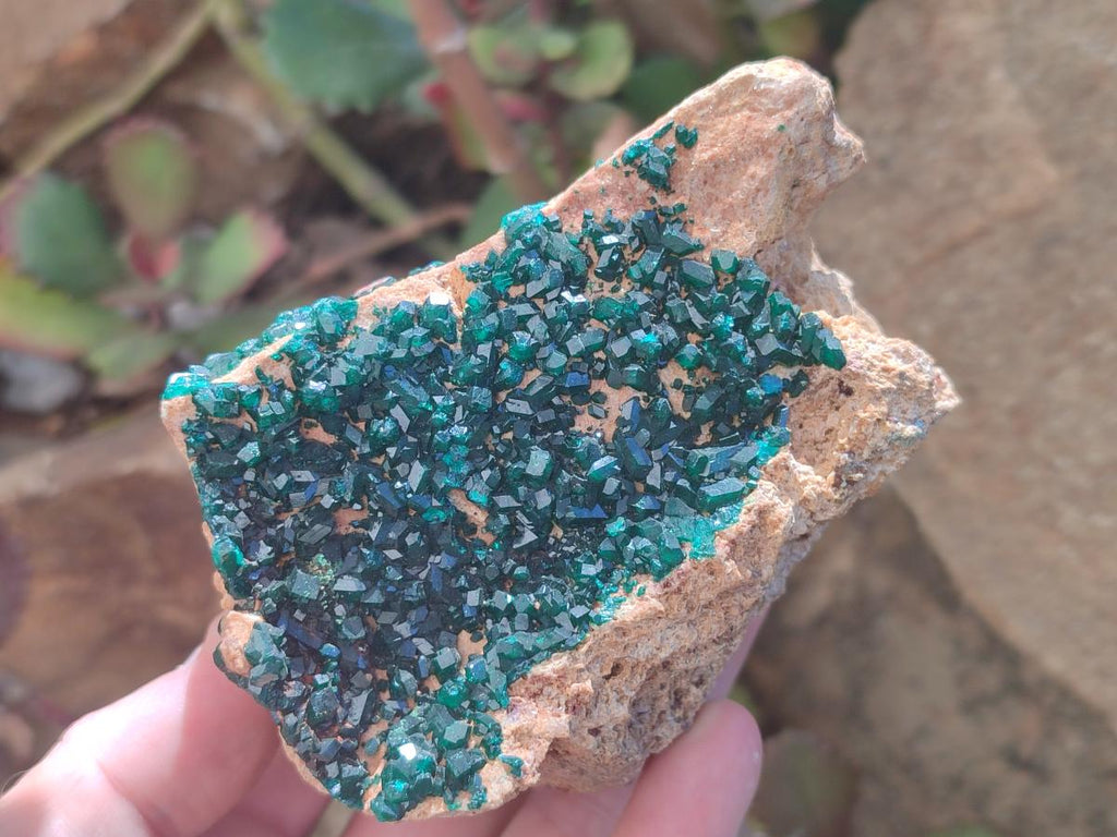 Natural Dioptase on Dolomite Specimens x 2 From Likasi, Congo - Toprock Gemstones and Minerals 