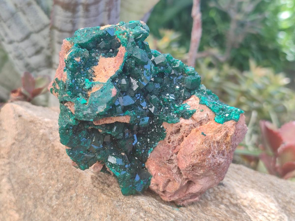 Natural Dioptase on Dolomite Specimens x 2 From Likasi, Congo - Toprock Gemstones and Minerals 