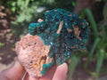 Natural Dioptase on Dolomite Specimens x 2 From Likasi, Congo - Toprock Gemstones and Minerals 