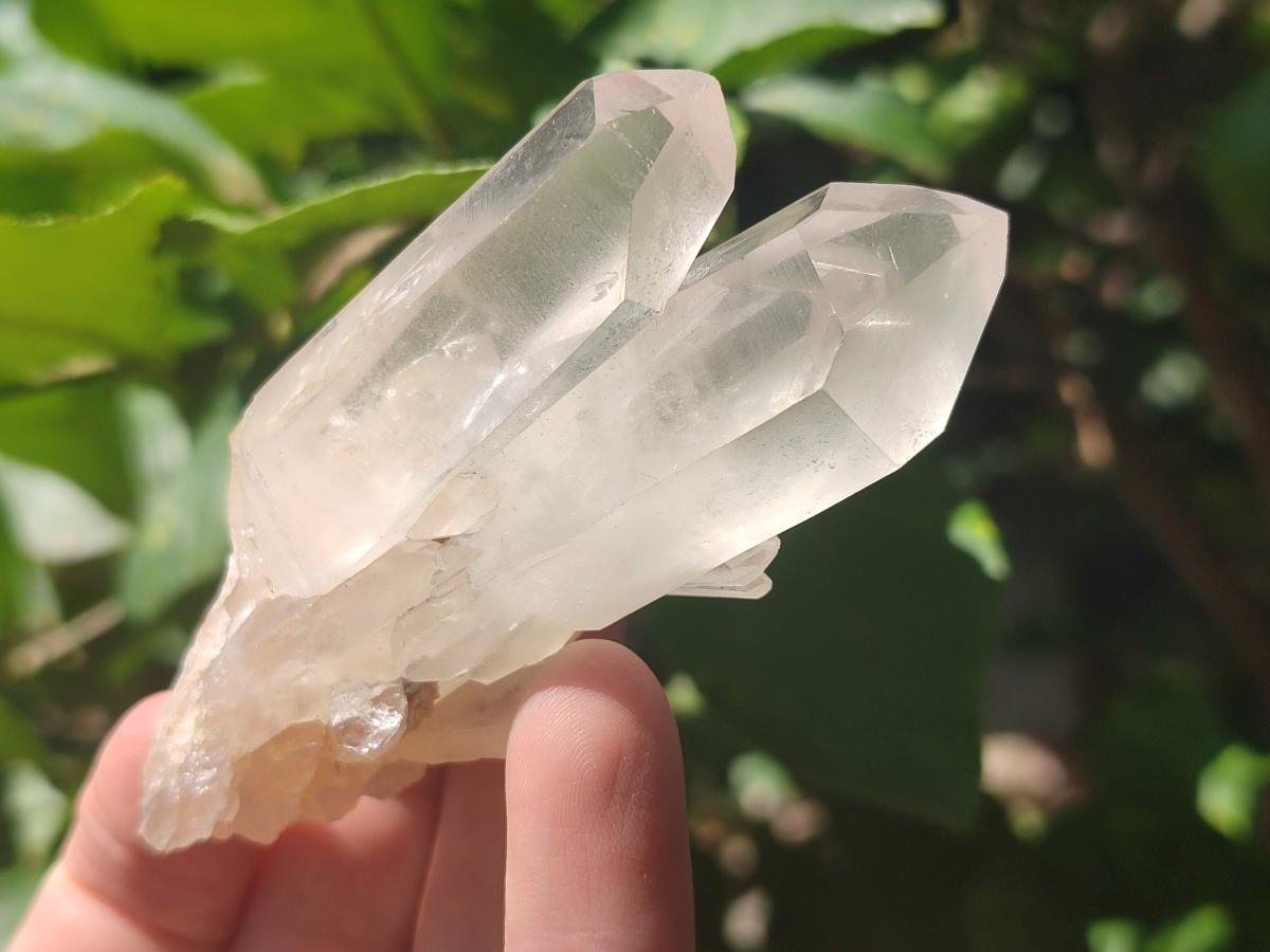 Natural Clear Quartz Cluster x 24 From Madagascar - Toprock Gemstones and Minerals 