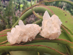 Natural Clear Quartz Cluster x 24 From Madagascar - Toprock Gemstones and Minerals 