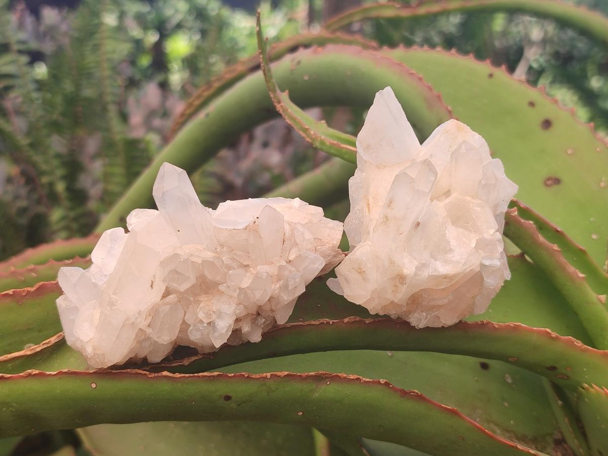 Natural Clear Quartz Cluster x 24 From Madagascar - Toprock Gemstones and Minerals 