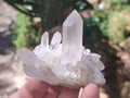 Natural Clear Quartz Cluster x 24 From Madagascar - Toprock Gemstones and Minerals 