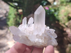 Natural Clear Quartz Cluster x 24 From Madagascar - Toprock Gemstones and Minerals 