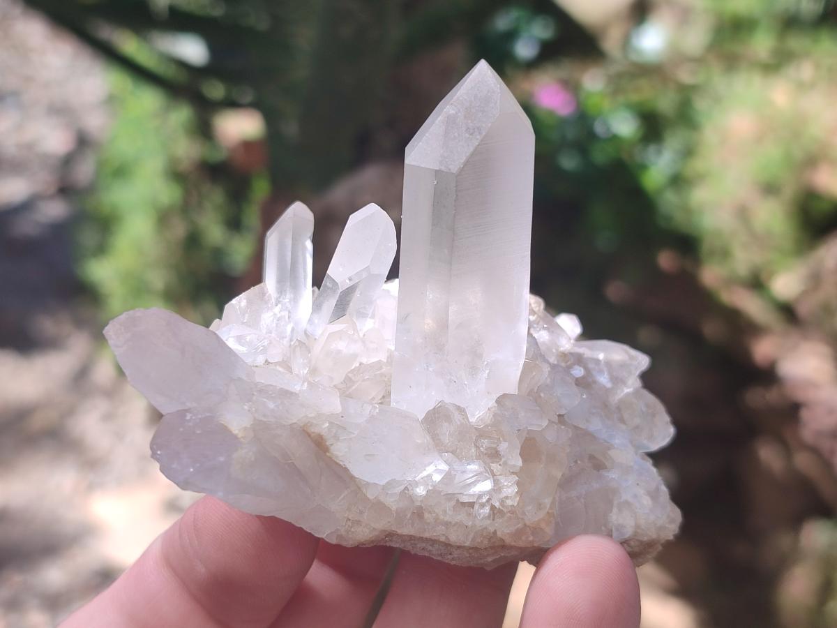 Natural Clear Quartz Cluster x 24 From Madagascar - Toprock Gemstones and Minerals 