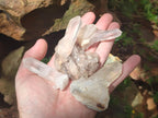 Natural Clear Quartz Cluster x 24 From Madagascar - Toprock Gemstones and Minerals 
