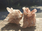 Natural Clear Quartz Cluster x 24 From Madagascar - Toprock Gemstones and Minerals 