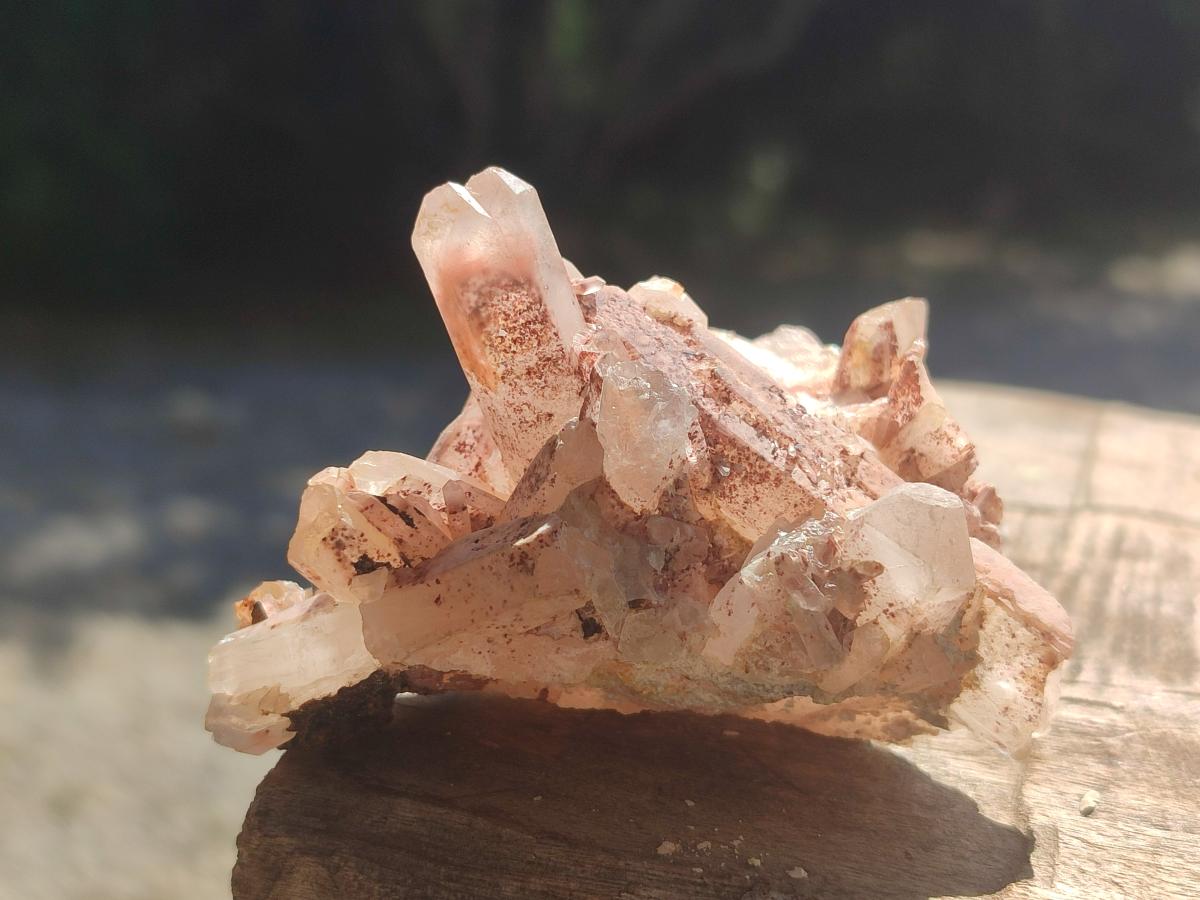 Natural Clear Quartz Cluster x 24 From Madagascar - Toprock Gemstones and Minerals 