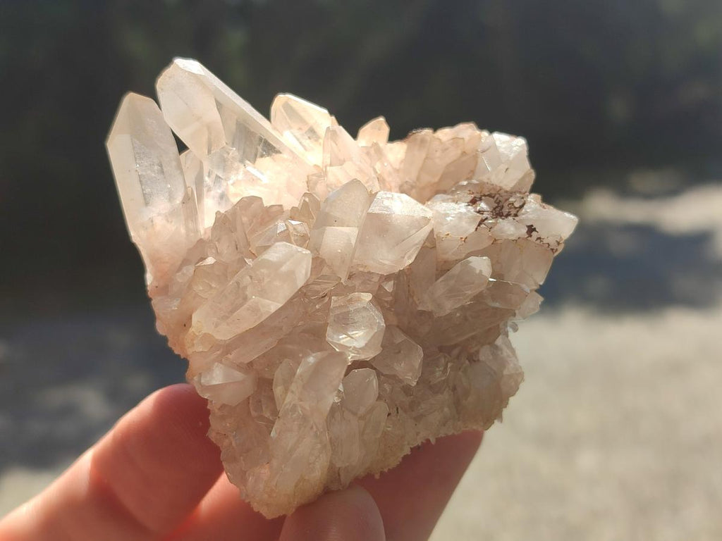 Natural Clear Quartz Cluster x 24 From Madagascar - Toprock Gemstones and Minerals 