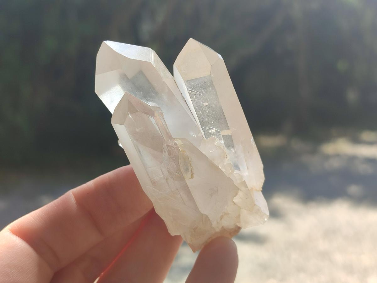 Natural Clear Quartz Cluster x 24 From Madagascar - Toprock Gemstones and Minerals 