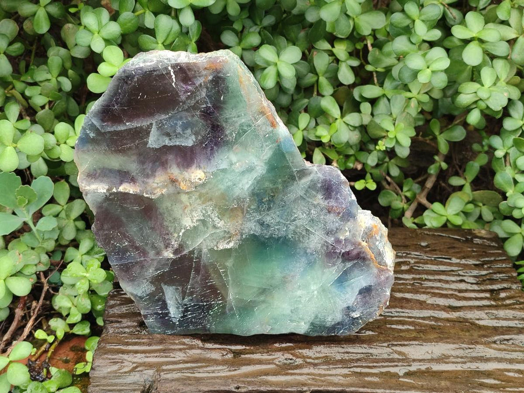 Polished XL Watermelon Fluorite Slice x 1 From Uis, Namibia - Toprock Gemstones and Minerals 
