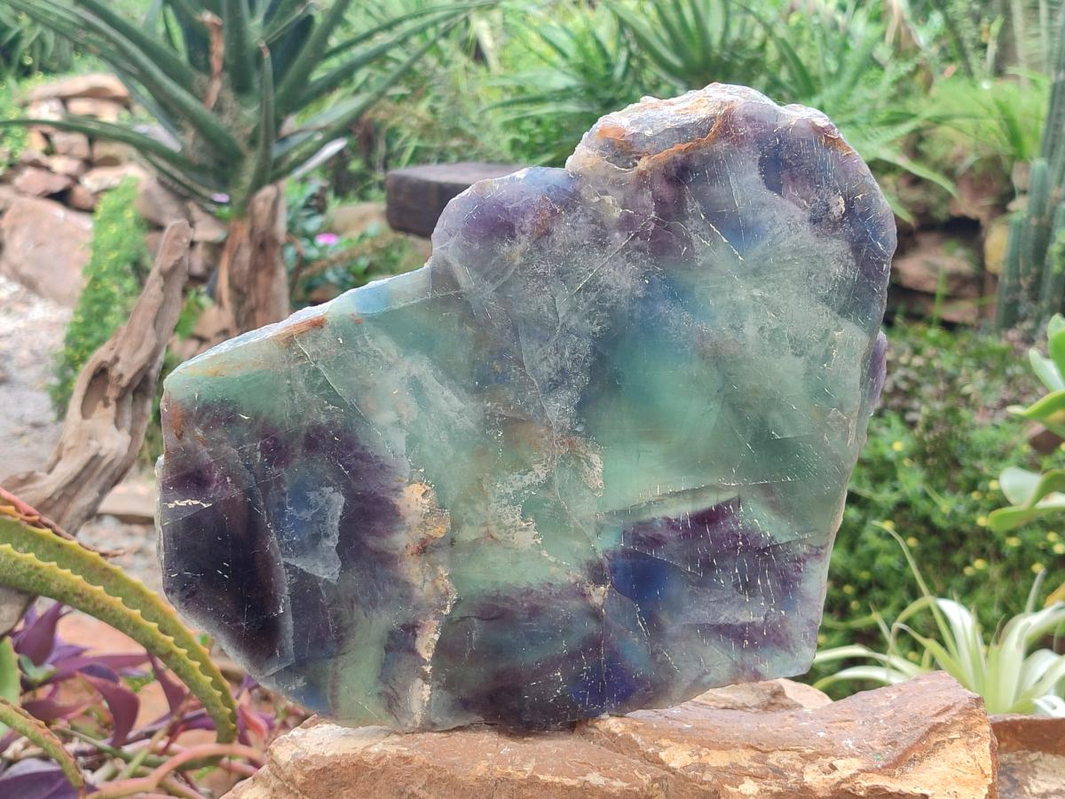 Polished XL Watermelon Fluorite Slice x 1 From Uis, Namibia - Toprock Gemstones and Minerals 