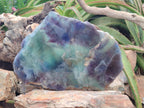 Polished XL Watermelon Fluorite Slice x 1 From Uis, Namibia - Toprock Gemstones and Minerals 