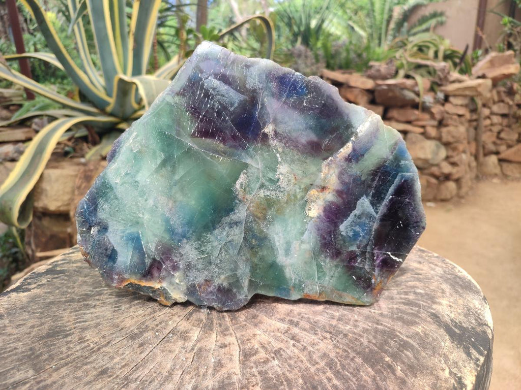 Polished XL Watermelon Fluorite Slice x 1 From Uis, Namibia - Toprock Gemstones and Minerals 