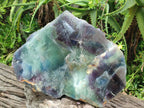 Polished XL Watermelon Fluorite Slice x 1 From Uis, Namibia - Toprock Gemstones and Minerals 