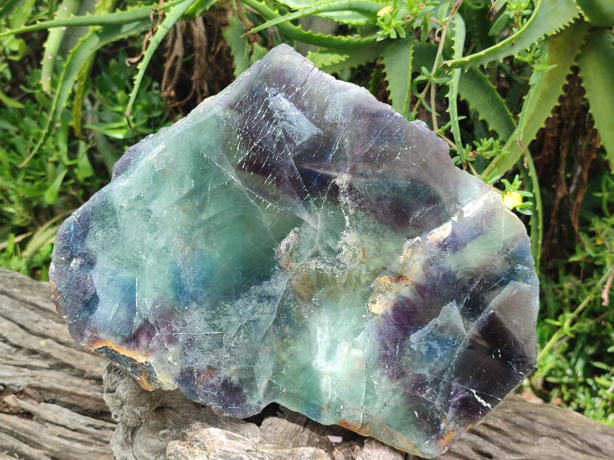 Polished XL Watermelon Fluorite Slice x 1 From Uis, Namibia - Toprock Gemstones and Minerals 