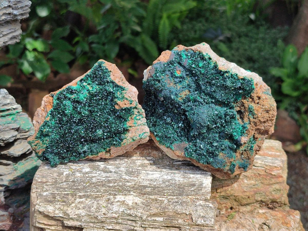 Natural Crystalline Malachite Specimens x 2 From Tenke Fungurume, Congo - Toprock Gemstones and Minerals 