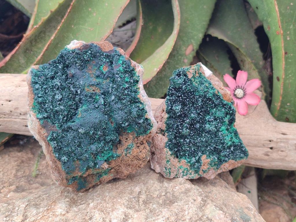 Natural Crystalline Malachite Specimens x 2 From Tenke Fungurume, Congo - Toprock Gemstones and Minerals 