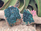 Natural Crystalline Malachite Specimens x 2 From Tenke Fungurume, Congo - Toprock Gemstones and Minerals 