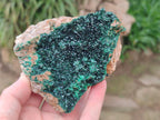 Natural Crystalline Malachite Specimens x 2 From Tenke Fungurume, Congo - Toprock Gemstones and Minerals 