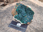 Natural Crystalline Malachite Specimens x 2 From Tenke Fungurume, Congo - Toprock Gemstones and Minerals 