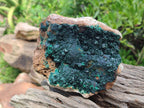Natural Crystalline Malachite Specimens x 2 From Tenke Fungurume, Congo - Toprock Gemstones and Minerals 