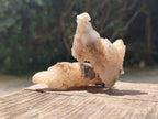 Natural Drusy Quartz Coated Spearhead Calcite Crystals x 20 From Albert's Mountain, Lesotho - Toprock Gemstones and Minerals 