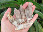 Natural Drusy Quartz Coated Spearhead Calcite Crystals x 20 From Albert's Mountain, Lesotho - Toprock Gemstones and Minerals 