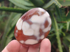 Polished Mixed Multi Mineral Galets x 24 From Madagascar - Toprock Gemstones and Minerals 