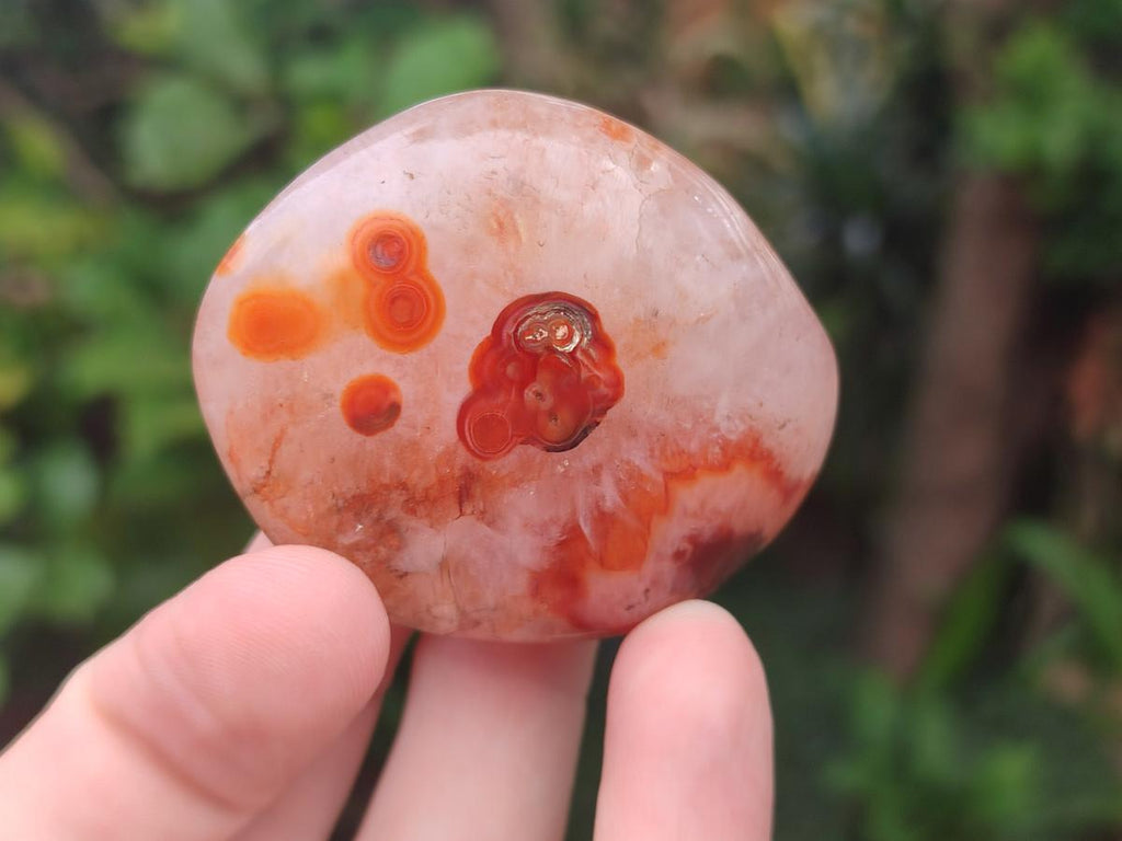 Polished Mixed Multi Mineral Galets x 24 From Madagascar - Toprock Gemstones and Minerals 