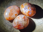 Polished Mixed Multi Mineral Galets x 24 From Madagascar - Toprock Gemstones and Minerals 