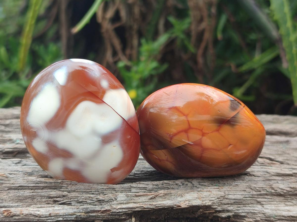 Polished Mixed Multi Mineral Galets x 24 From Madagascar - Toprock Gemstones and Minerals 