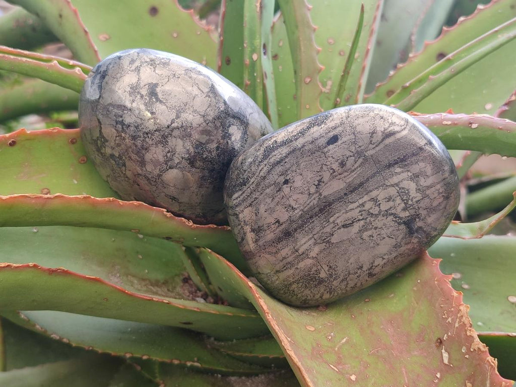 Polished XL Basalt Pharaoh Stone Galet Free Forms x 12 From Iron Duke Mine, Zimbabwe - Toprock Gemstones and Minerals 