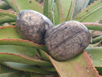 Polished XL Basalt Pharaoh Stone Galet Free Forms x 12 From Iron Duke Mine, Zimbabwe - Toprock Gemstones and Minerals 