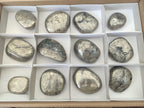 Polished XL Basalt Pharaoh Stone Galet Free Forms x 12 From Iron Duke Mine, Zimbabwe - Toprock Gemstones and Minerals 