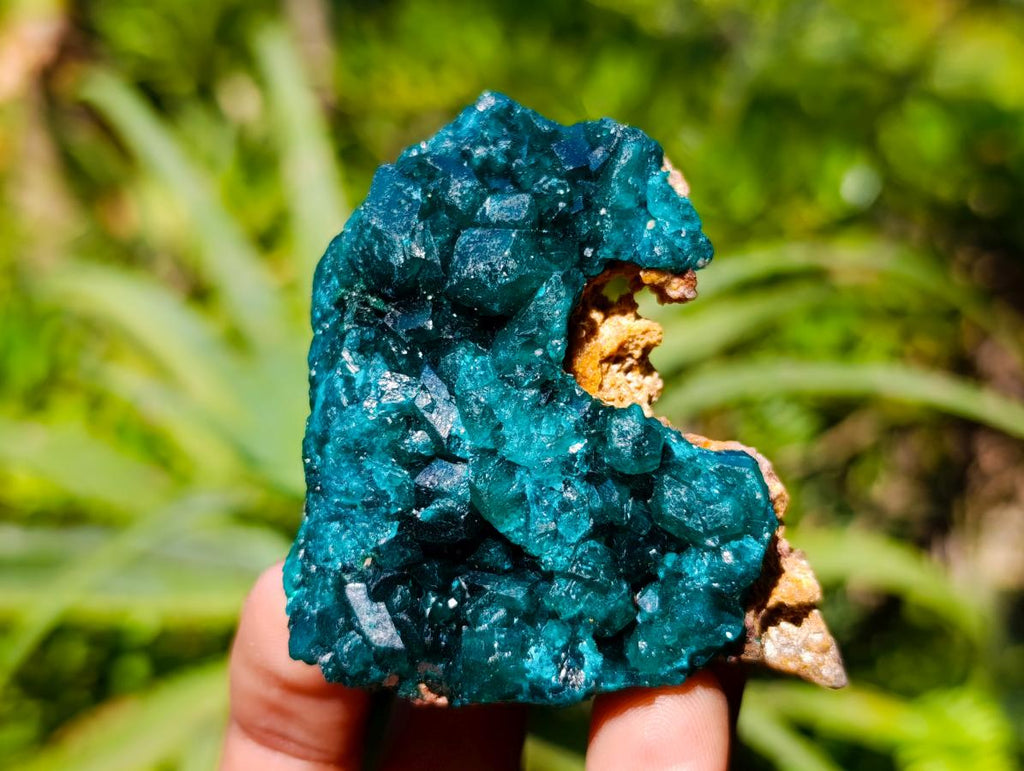 Natural Dioptase on Dolomite Cluster Specimens x 6 From Likasi, Congo - Toprock Gemstones and Minerals 