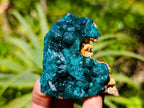 Natural Dioptase on Dolomite Cluster Specimens x 6 From Likasi, Congo - Toprock Gemstones and Minerals 