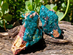 Natural Dioptase on Dolomite Cluster Specimens x 6 From Likasi, Congo - Toprock Gemstones and Minerals 
