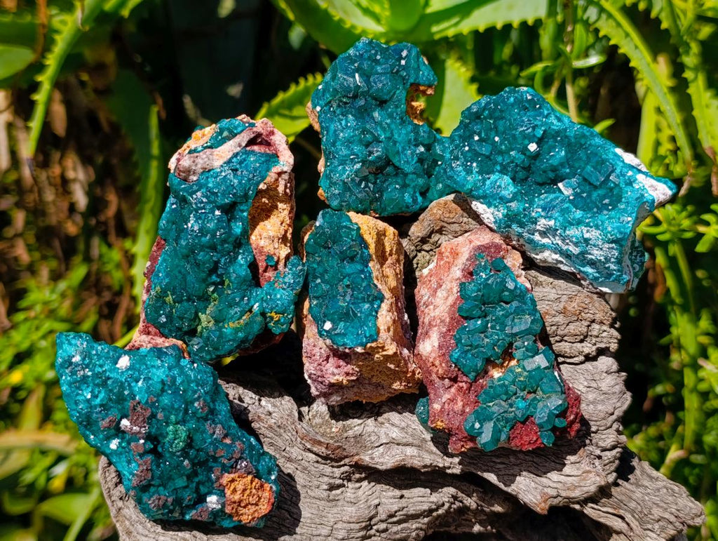 Natural Dioptase on Dolomite Cluster Specimens x 6 From Likasi, Congo - Toprock Gemstones and Minerals 