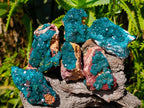 Natural Dioptase on Dolomite Cluster Specimens x 6 From Likasi, Congo - Toprock Gemstones and Minerals 
