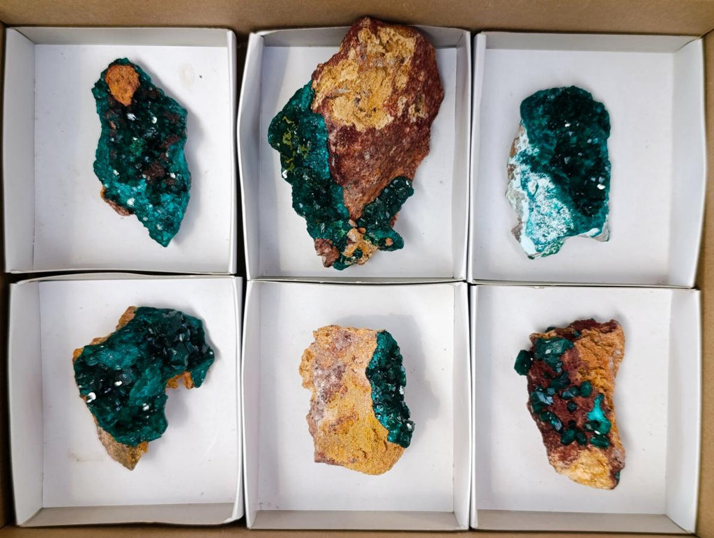 Natural Dioptase on Dolomite Cluster Specimens x 6 From Likasi, Congo - Toprock Gemstones and Minerals 