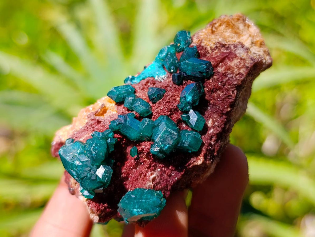 Natural Dioptase on Dolomite Cluster Specimens x 6 From Likasi, Congo - Toprock Gemstones and Minerals 