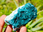 Natural Dioptase on Dolomite Cluster Specimens x 6 From Likasi, Congo - Toprock Gemstones and Minerals 