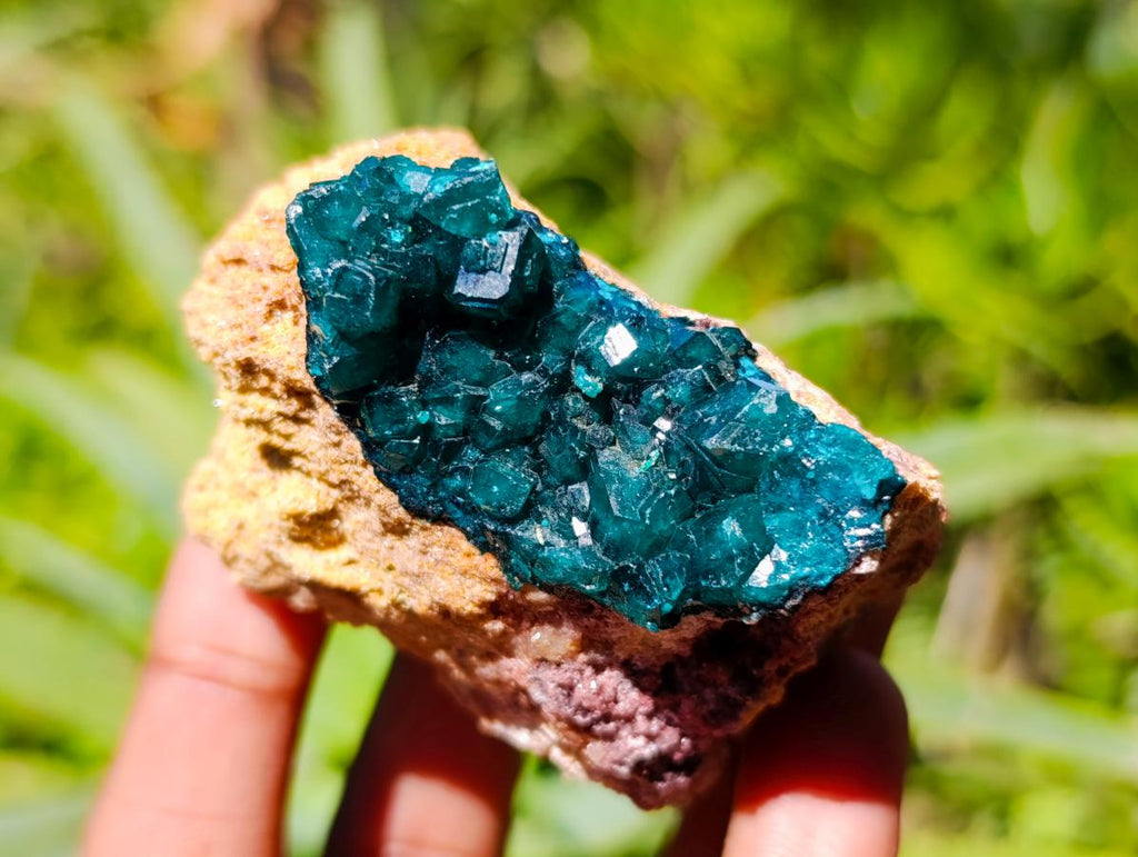 Natural Dioptase on Dolomite Cluster Specimens x 6 From Likasi, Congo - Toprock Gemstones and Minerals 
