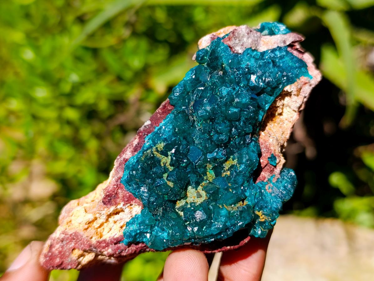 Natural Dioptase on Dolomite Cluster Specimens x 6 From Likasi, Congo - Toprock Gemstones and Minerals 