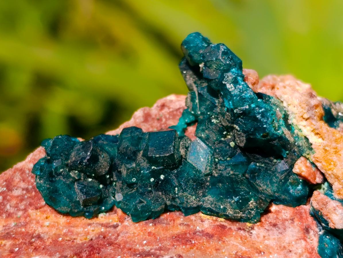 Natural Dioptase on Dolomite Cluster Specimens x 6 From Likasi, Congo - Toprock Gemstones and Minerals 